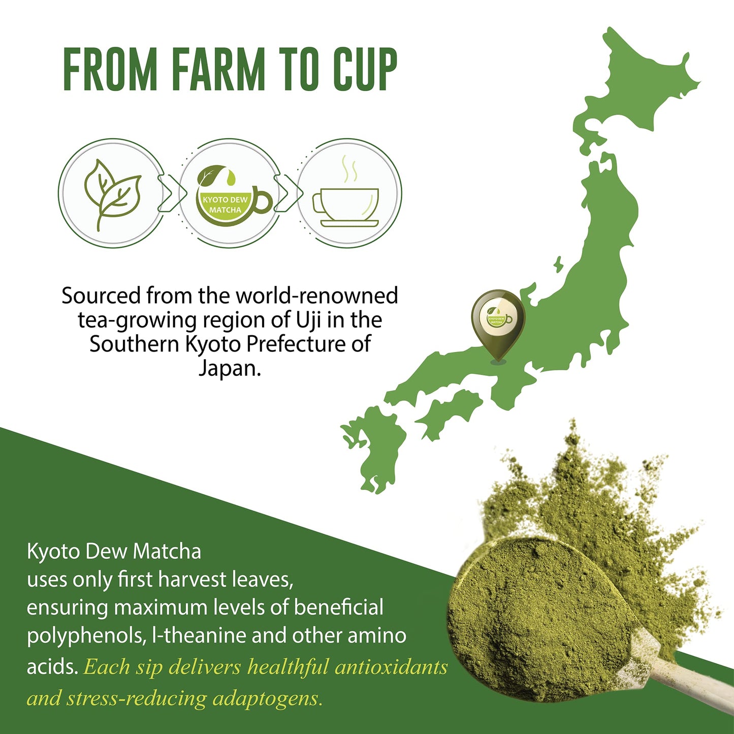 Kyoto Dew Matcha - Ceremonial Blend - Authentic Japanese First Harvest - USDA & JAS Organic Ceremonial Grade Matcha Green Tea Powder from Uji, Kyoto
