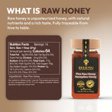 BEE and YOU Pine Raw Honey, Honeydew Honey, Wild-crafted, 100% Natural, Unprocessed, Enzymes, Antioxidants, Manuka Honey Alternative, Paleo
