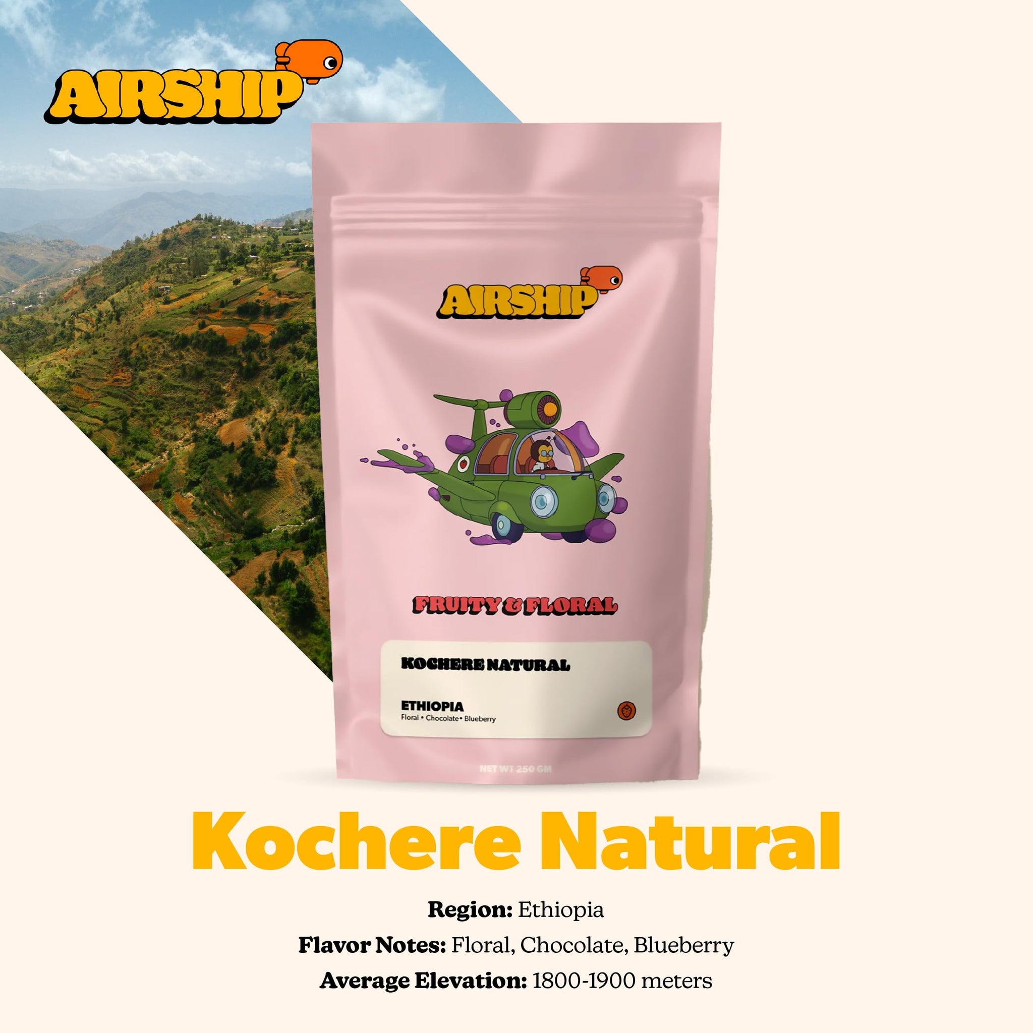 Airship Coffee Kochere Natural Ethiopia Single Origin Whole Bean Coffee, 250g, Flavor Notes of Floral, Chocolate, and Blueberry - Sourced From