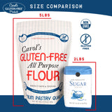 Carol's Gluten Free Flour All Purpose 1 to 1 for Bread Baking, Pizza Dough, Cookie mix, Gluten Free Snacks | a Dairy Free Mix of White Rice/Glutinous