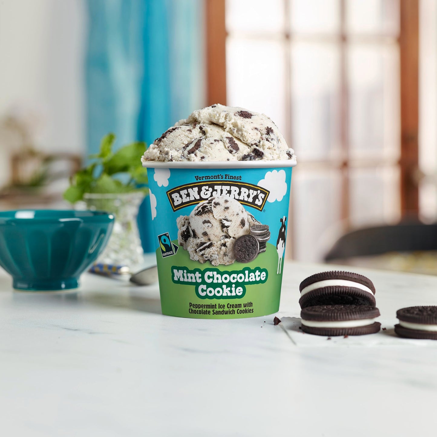 Ben & Jerry's Ice Cream Mint Chocolate Cookie 16 oz