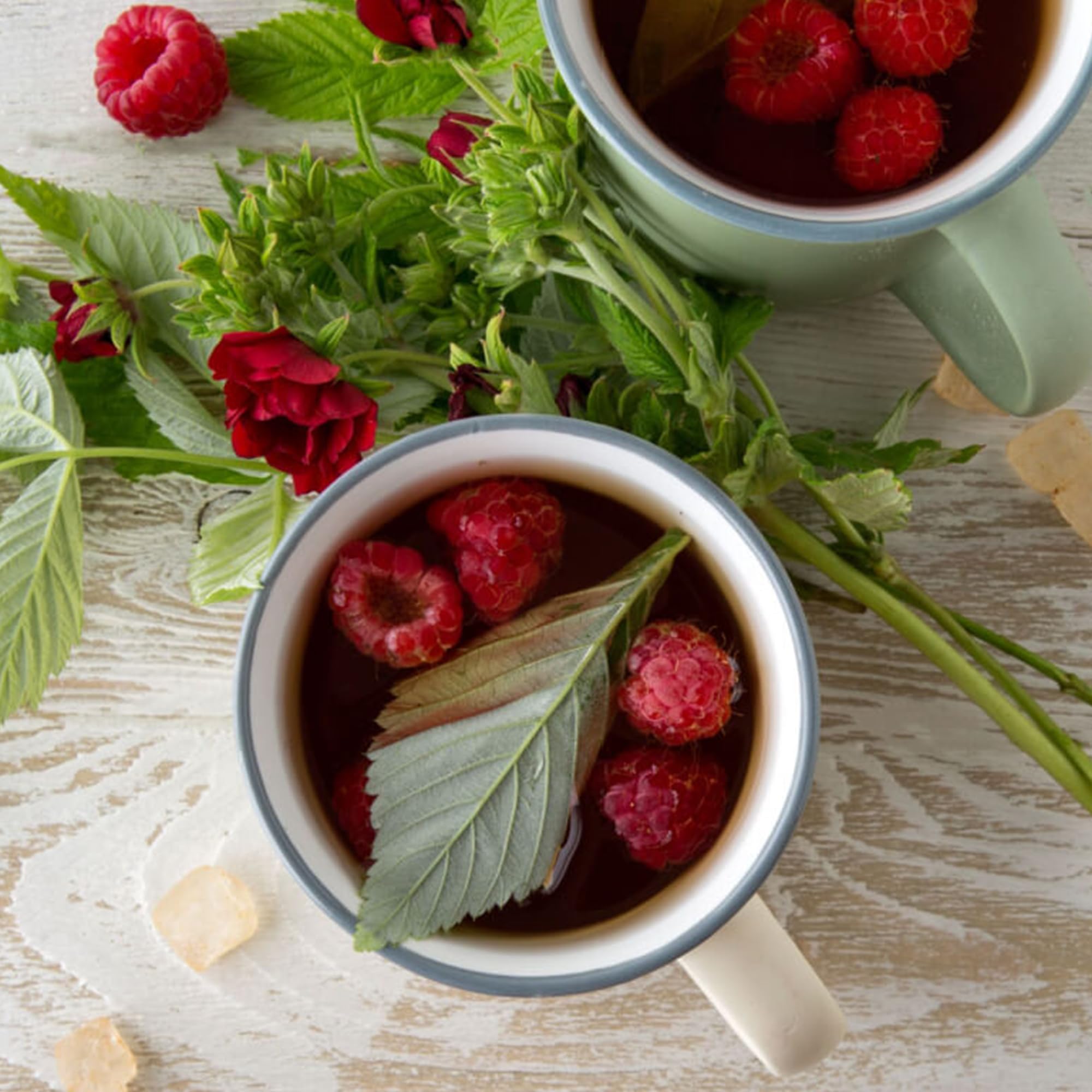 Jovvily Raspberry Leaf - 4 oz - Cut & Sifted - Herbal Tea