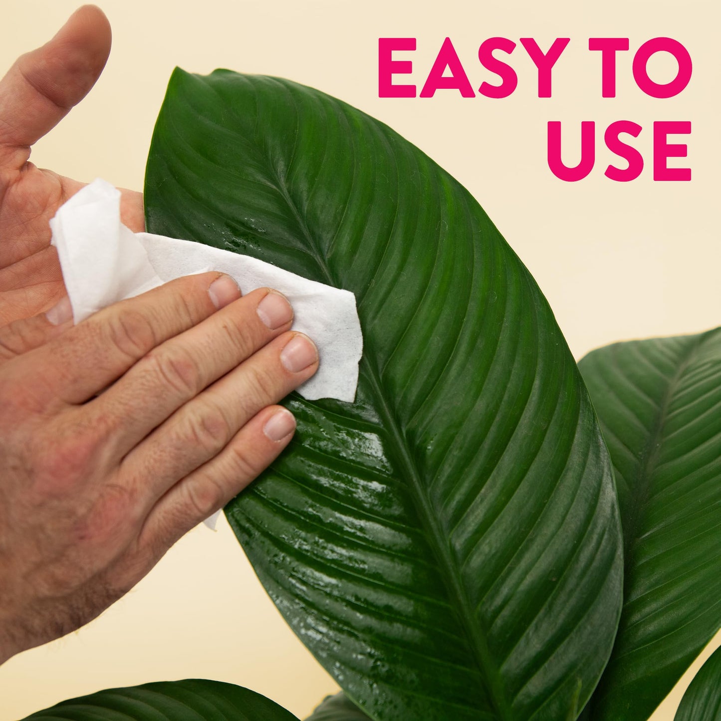 Naturalings Plant Wipes for Indoor Plants - 100 Count Plant Leaf Cleaner Wipes with Natural Peppermint, Remove Dust & Restore Natural Leaf Shine