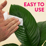 Naturalings Plant Wipes for Indoor Plants - 100 Count Plant Leaf Cleaner Wipes with Natural Peppermint, Remove Dust & Restore Natural Leaf Shine