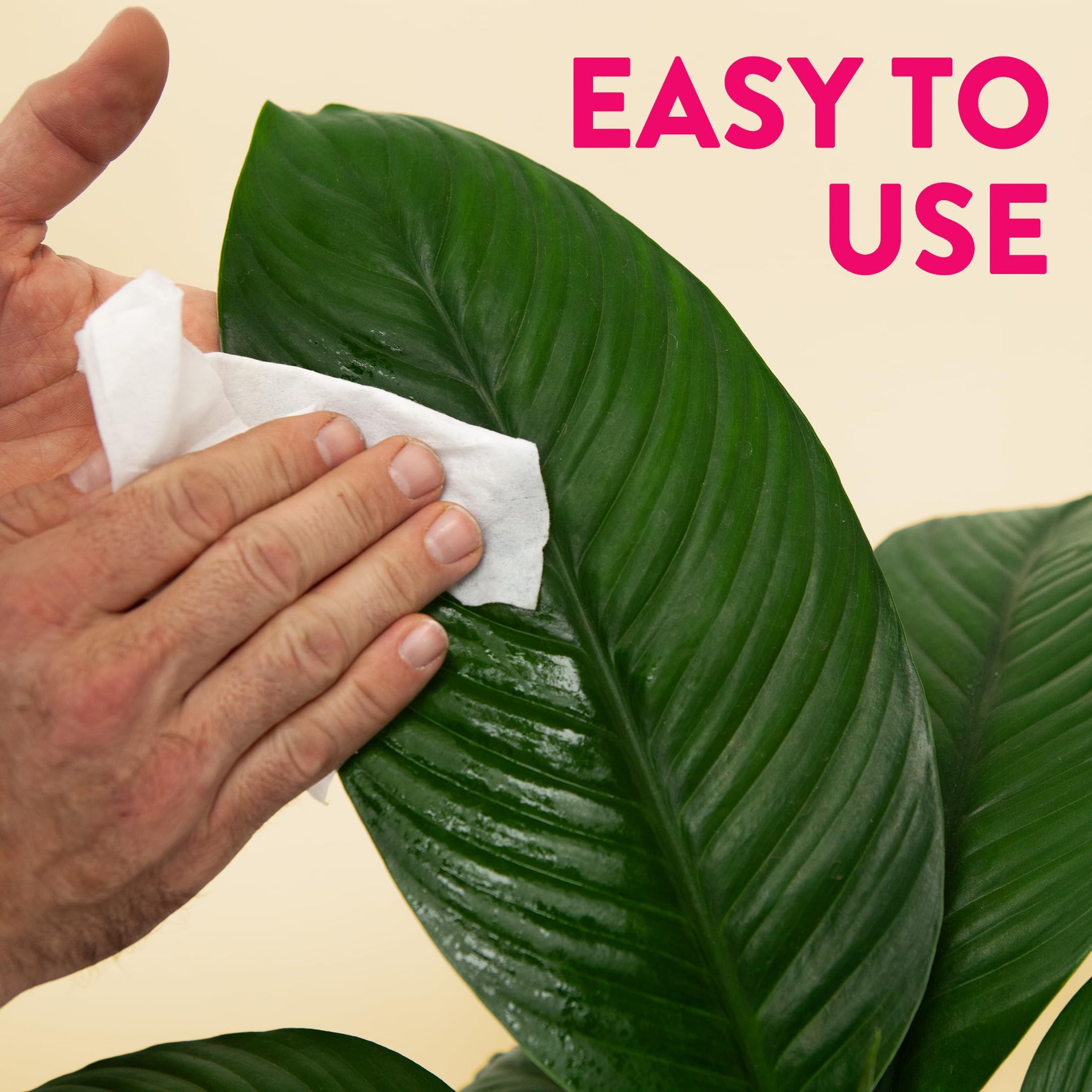 Naturalings Plant Wipes for Indoor Plants - 100 Count Plant Leaf Cleaner Wipes with Natural Peppermint, Remove Dust & Restore Natural Leaf Shine