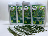 Organic Tamarind Leaves Herbal Tea (Tamarindus indica) - 40 Tea Bags (1.5g Each) - Pure & Natural, Caffeine-Free Infusion for a Refreshing Experience