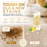 Oh Yuk Carpet Stain Cleaner, Instant Carpet Spot Remover & Upholstery Cleaner - Carpet Cleaner Spray, Stain Remover Spray, Fabric Cleaner, Rug Cleaner