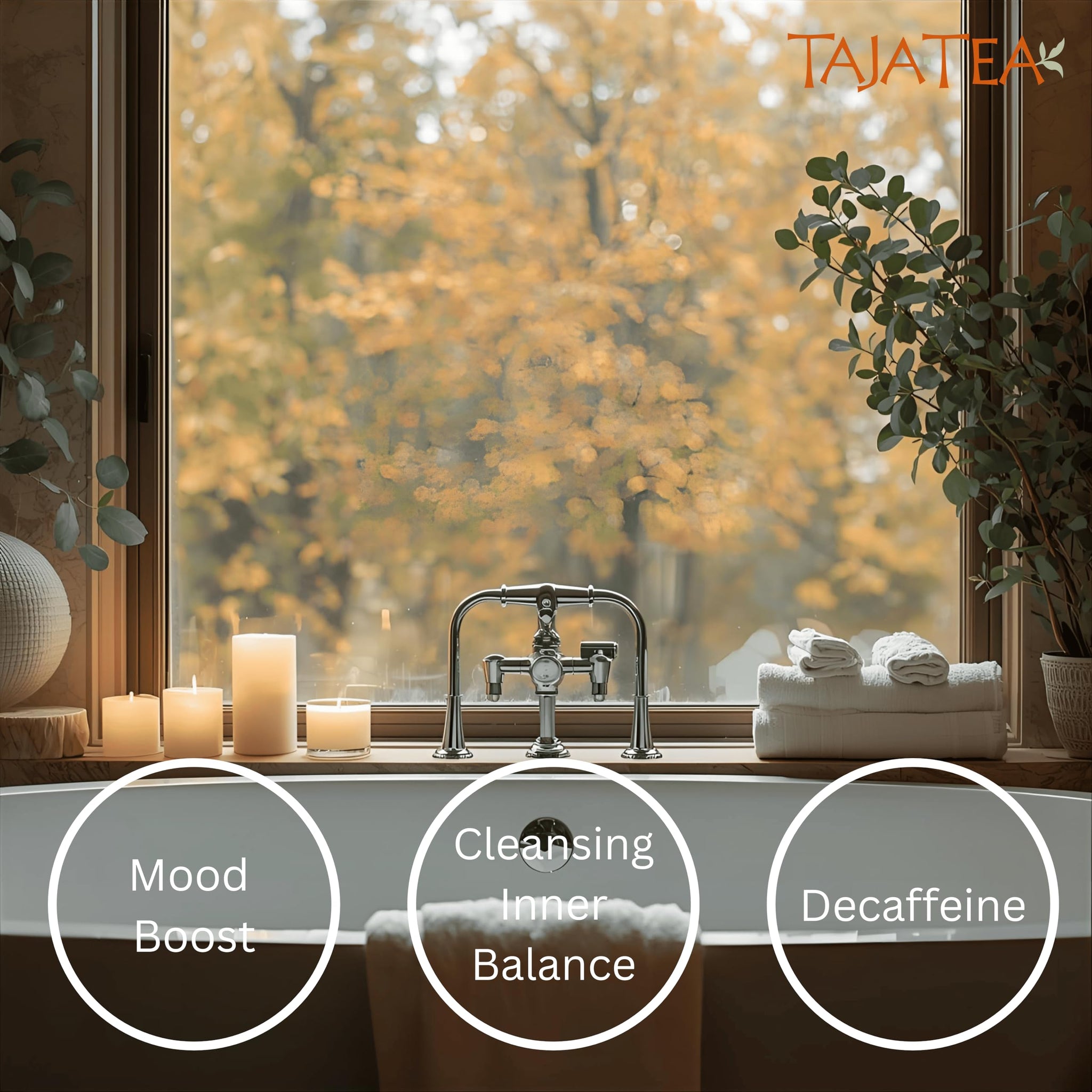 Taja Saffron Tea - Saffron & Cinnamon Fusion Chai, Balanced Wellness Blend for Mindful Comfort, Mood Boost, Decaffeinated | Gluten Free | Kosher, 20