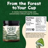 Melting Forest Mushroom Matcha Powder with 7 Functional Mushrooms, Reishi & Lion’s Mane, Adaptogen Blend (30 Servings)