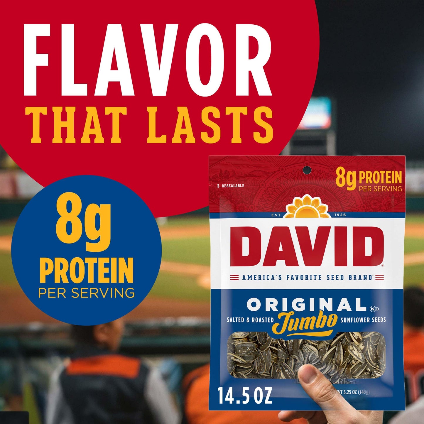 DAVID Sunflower Seeds, Original Flavor, 14.5 oz.