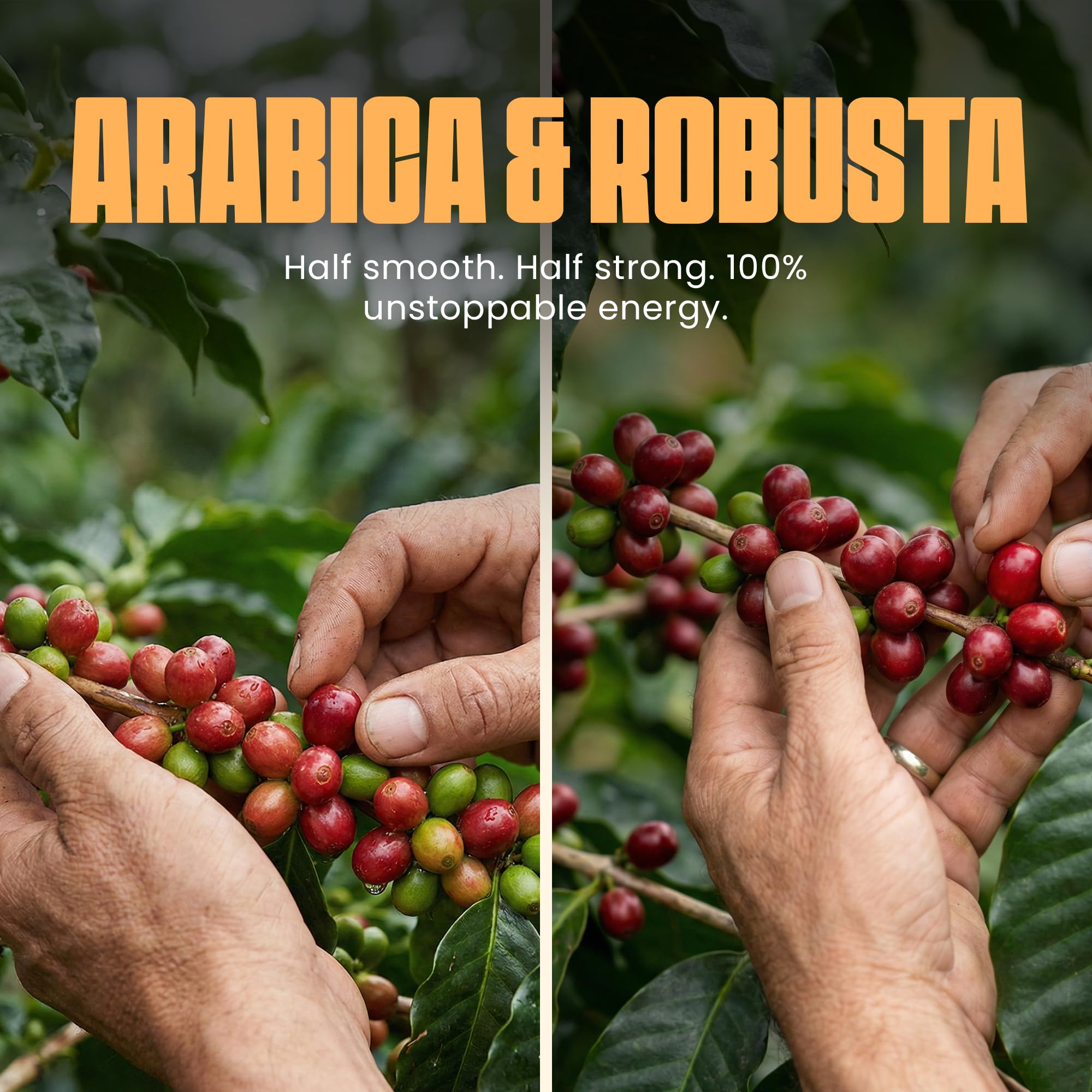 Blu Ore Quartz Blend Whole Bean Coffee, Single Origin Vietnam Espresso Beans, Medium Dark Roast 50% Arabica & 50% Robusta Blend with Rich Body