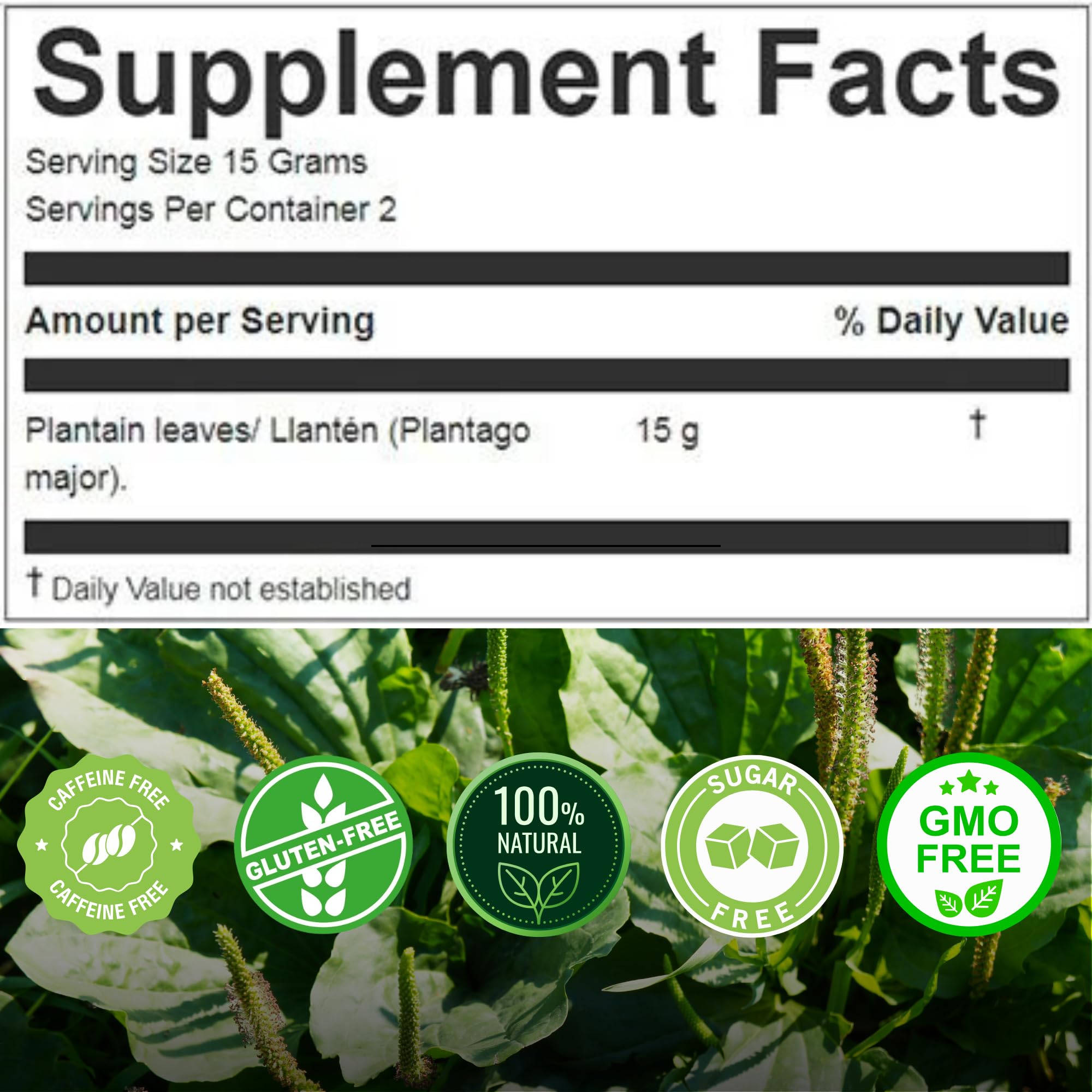 Hanan Plantain Leaf Tea (Llanten) 1.1 oz (30 g) - Loose, Dried Llanten Plant Leaves from Peru, 1.06 Ounce (Pack of 1)