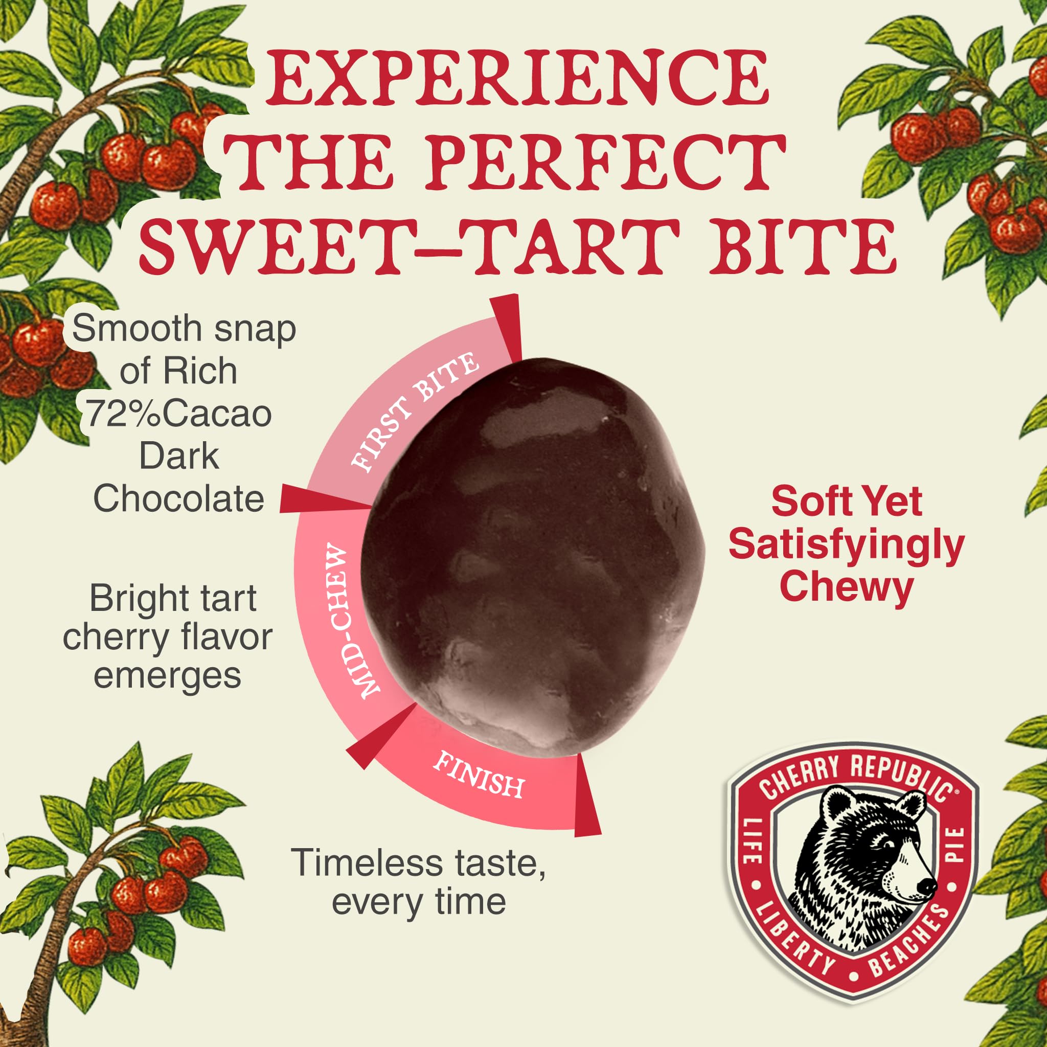 Cherry Republic Exceptionally Dark Chocolate Covered Cherries, 12 oz, Pack of 2 - Real Michigan Montmorency Tart Cherries with 72% Cacao, All-Natural