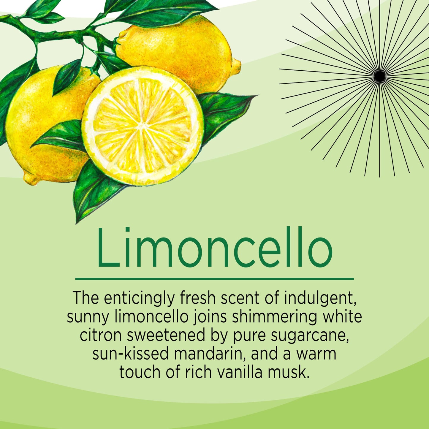 Citrus Magic Limited Edition Odor Eliminating Air Freshener Spray, Limoncello, 3-Ounce, Pack of 3