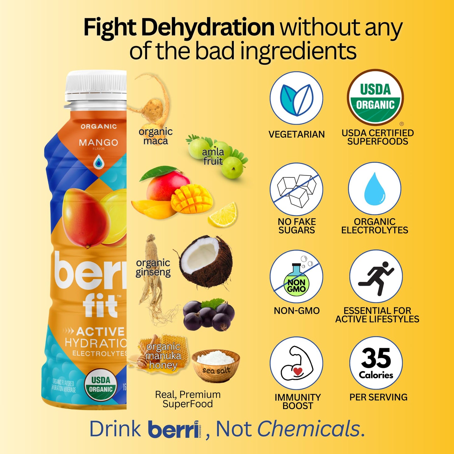 Berri Fit Hydration - Organic Mango Flavor Natural Sports Drink - Plant-Based Electrolyte Beverage - Low Calorie, Paleo Coconut Water Solution, 16oz