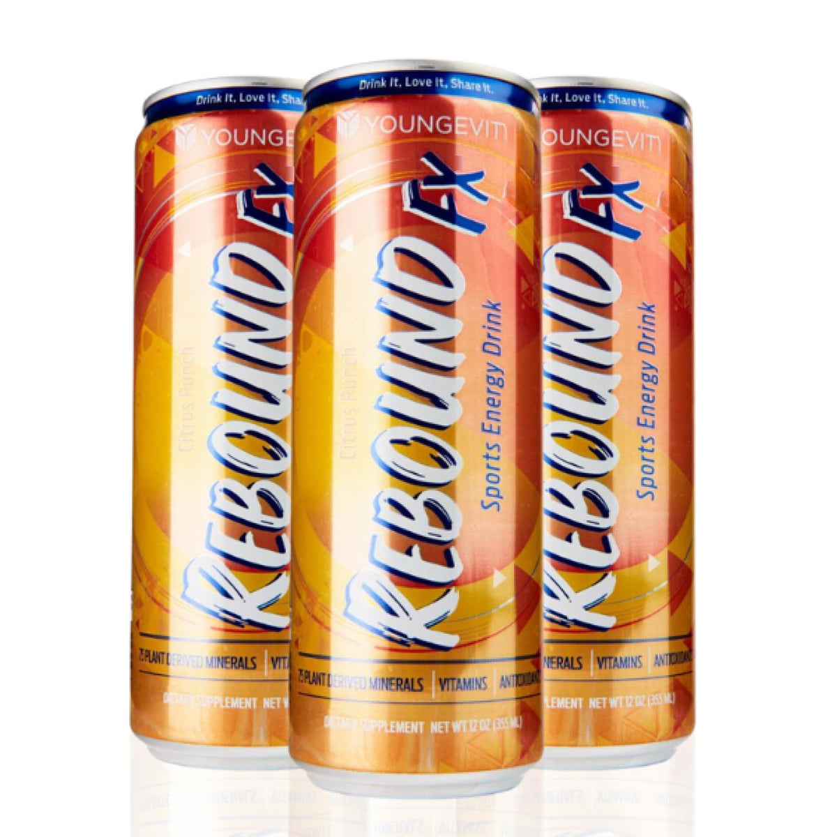 Youngevity Rebound FX Citrus Punch Sports Energy Drink, 12 oz Cans, 12-Pack