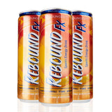 Youngevity Rebound FX Citrus Punch Sports Energy Drink, 12 oz Cans, 12-Pack