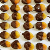 Gift Bags of Dried Apricots dipped in Belgian DARK Chocolate, 2-PACK 10 OZ each