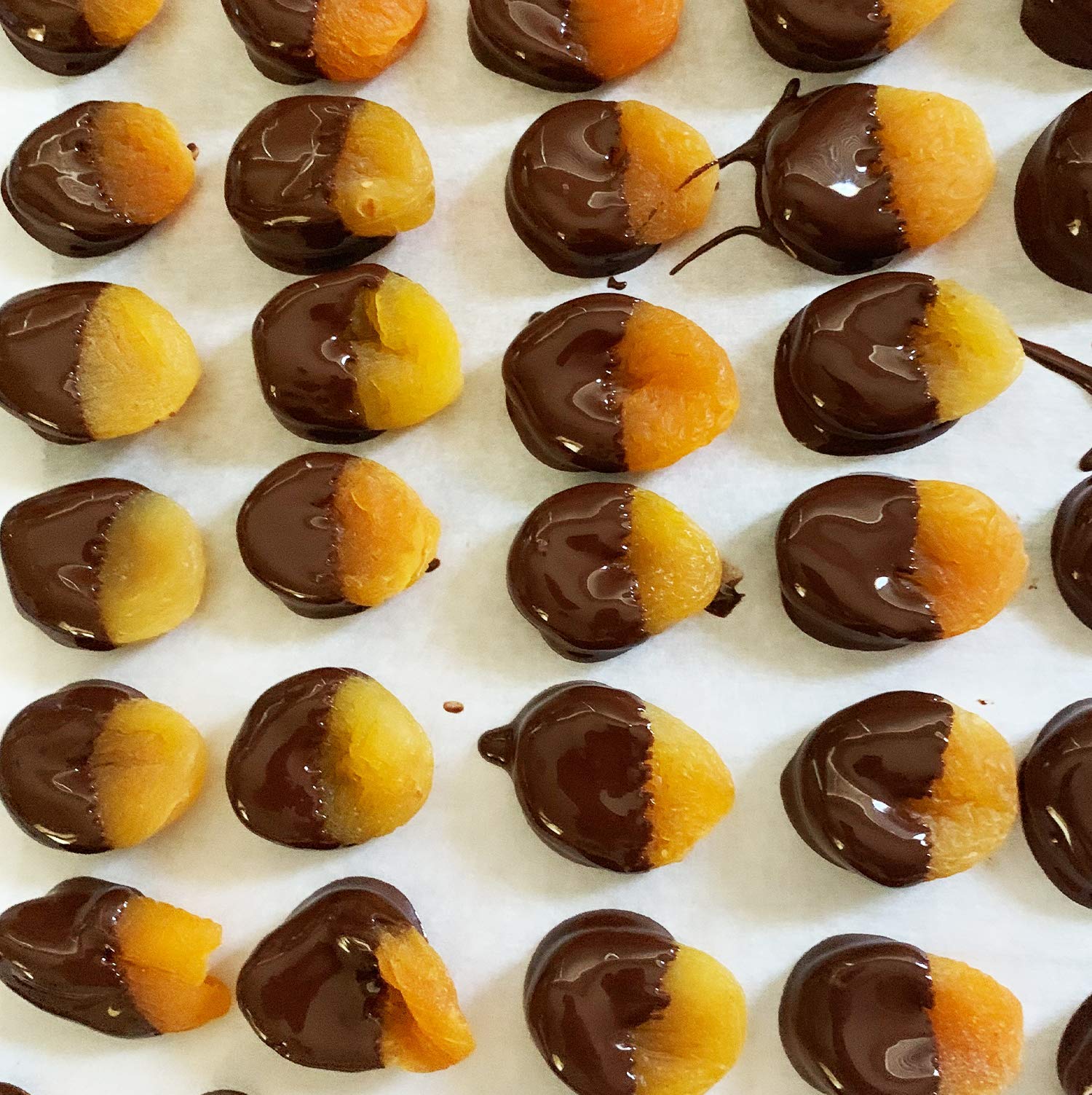 Gift Bags of Dried Apricots dipped in Belgian DARK Chocolate, 2-PACK 10 OZ each