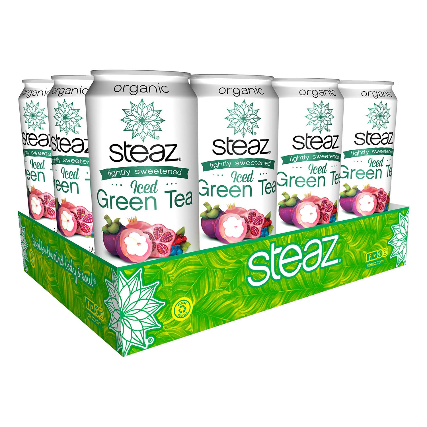 Steaz Lightly Sweetend Iced Green Tea, 16 OZ (Super Fruit)