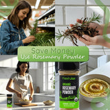 FreshJax Organic Ground Rosemary Powder - 2.5 oz Dried Rosemary Leaves, Non-GMO, Gluten-Free, Keto, Paleo - No Preservatives - Aromatic Herb Seasoning