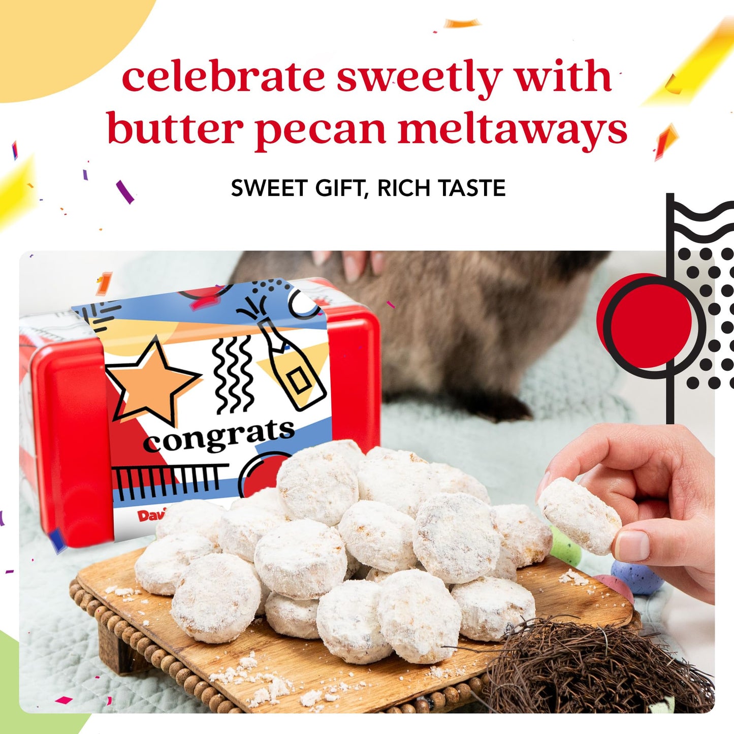 David's Cookies Congratulations Butter Pecan Meltaways Sweet Sampler Tin - 16oz Soft Gourmet Cookies with Crunchy Pecans - Bakery Dessert Gift Box