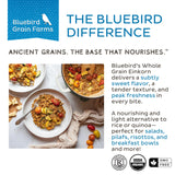 Bluebird Grain Farms Organic Whole Grain Einkorn, 1 Lb.