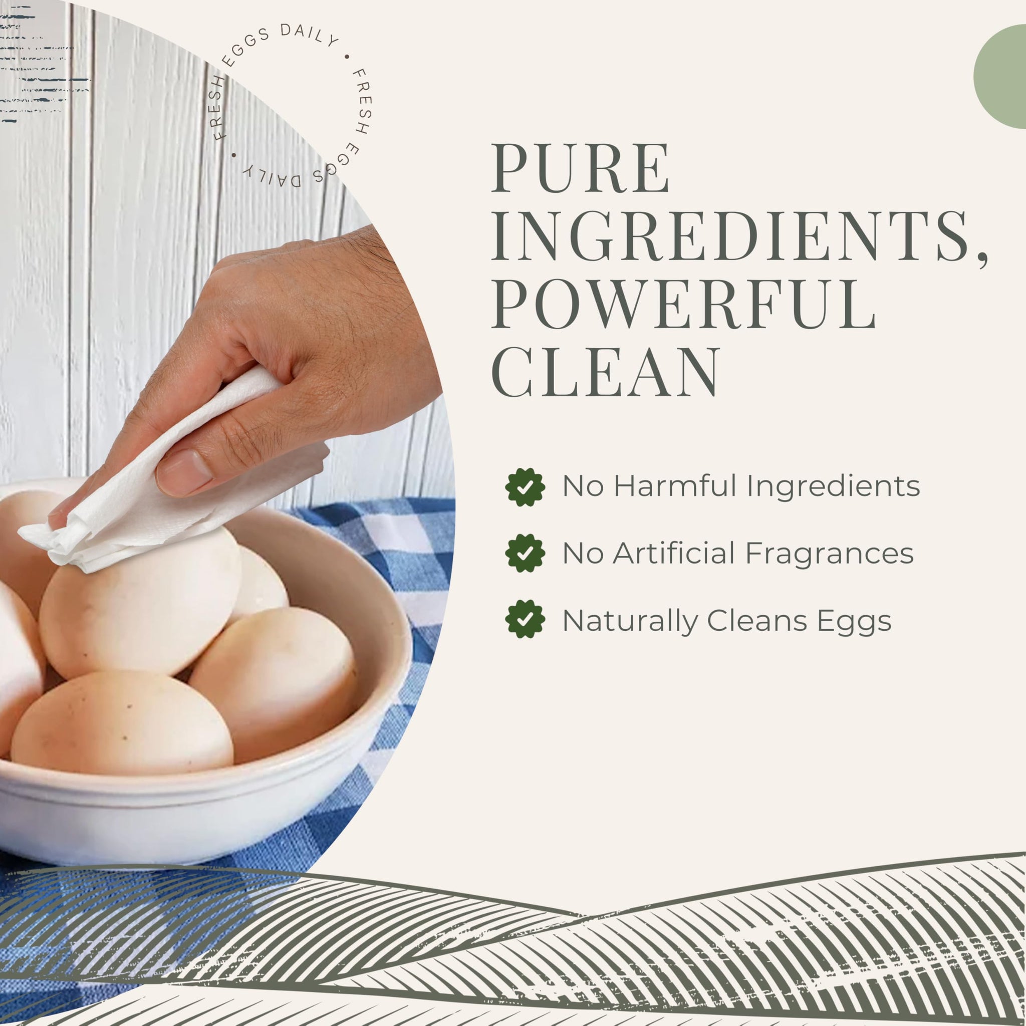 Fresh Eggs Daily Egg Wipes - Enzyme-Based Egg Cleaner for Backyard Chickens, No Rinse Needed, Natural Enzyme Formula - 40 Natural Cleaning Wipes