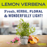 MRS. MEYER'S CLEAN DAY Air Freshener Sachets, Fragrance for your Locker, Car, Closet, and Gym Bag, Lemon Verbena, Pack of 3