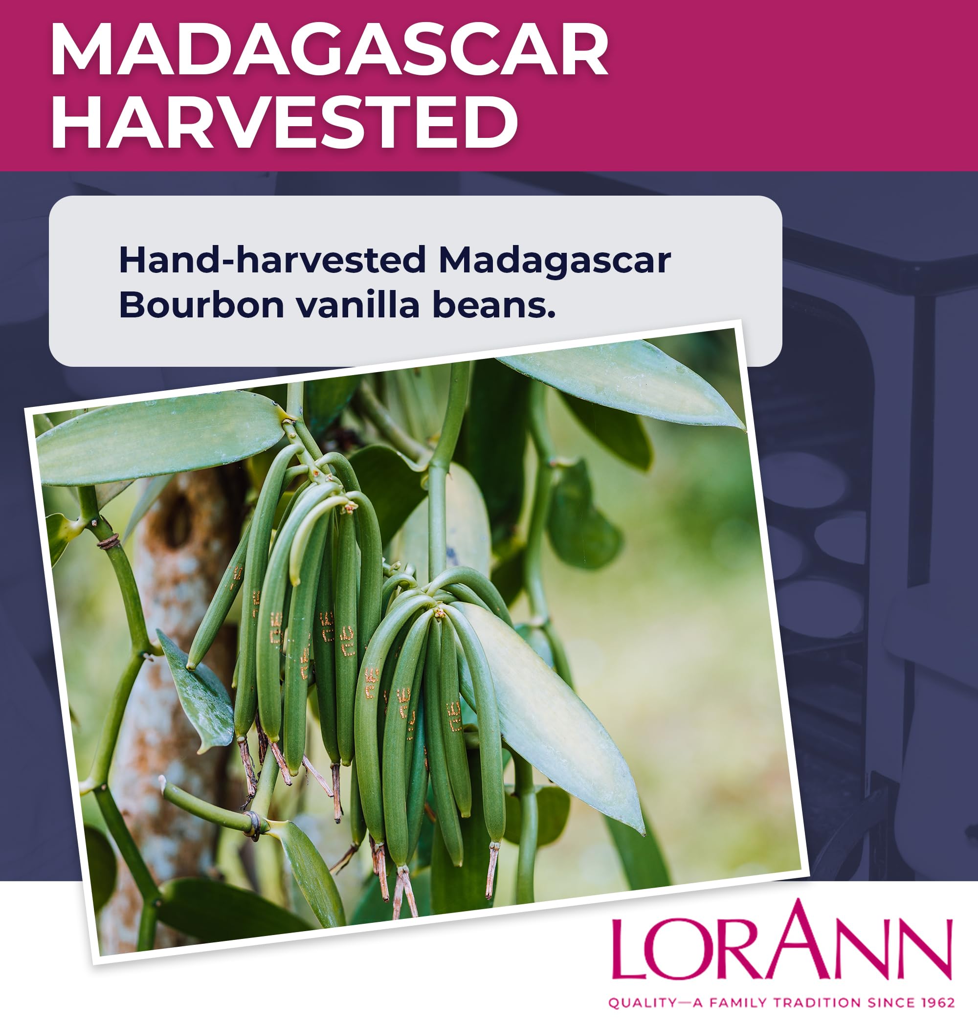 LorAnn Oils Reserve Pure Organic Madagascar Bourbon Vanilla Extract - Real, Organic Vanilla Extract for Baking, Pure Flavor & Bourbon, 4 Ounce