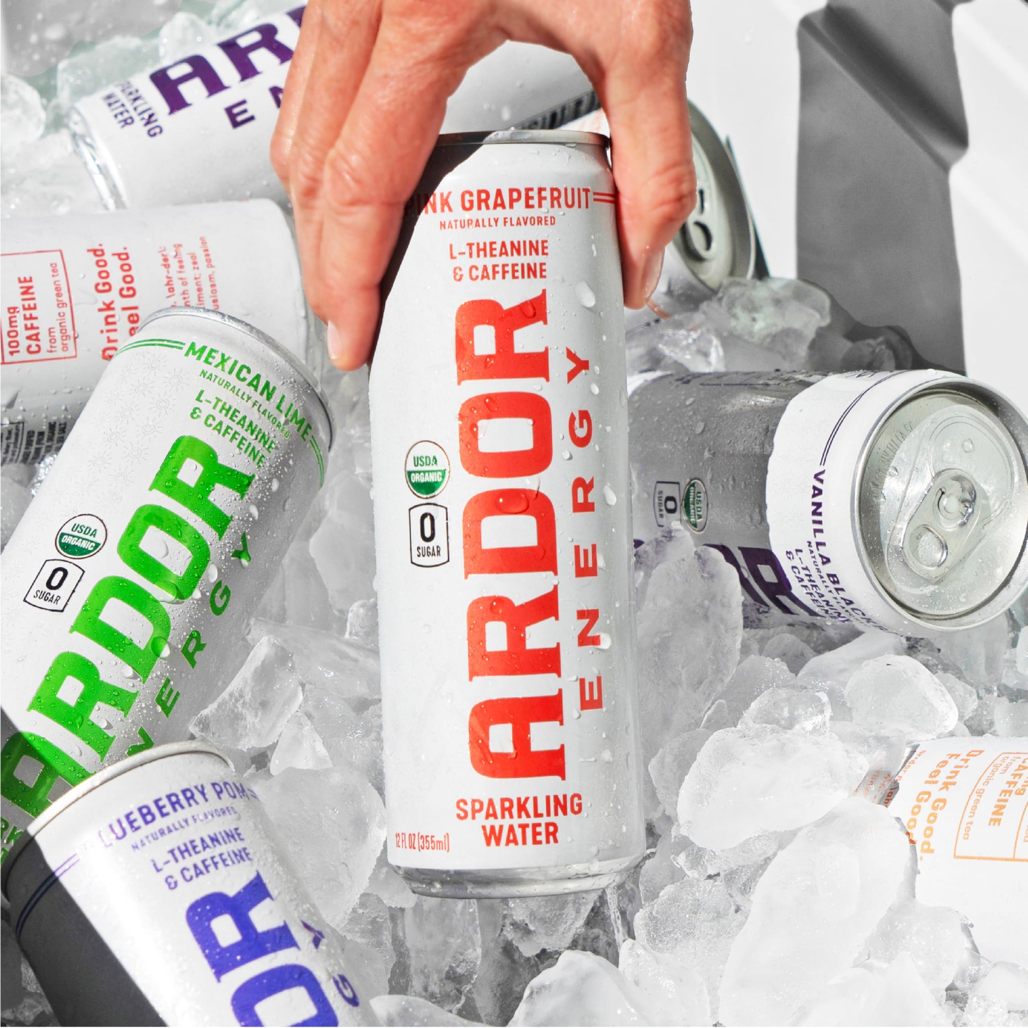 ARDOR ENERGY Sparkling Water with 100mg Natural Caffeine & 200mg L-Theanine from Organic Green Tea for Smooth Energy & Focus | Healthy Energy Drink |