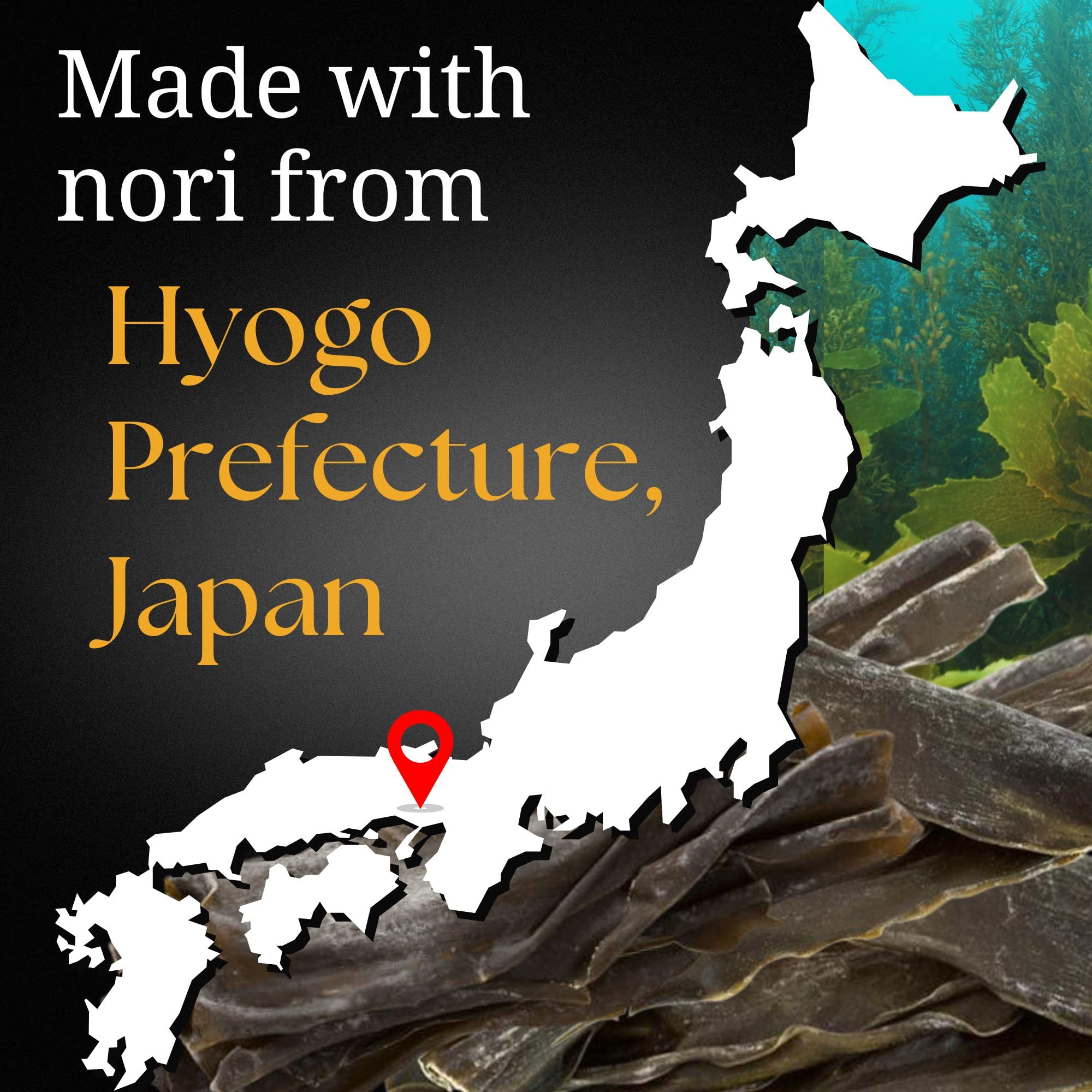 Seaweed Paste, Nori Tsukudani, Made in Japan | No MSG, No preservatives, No additives, Non-GMO | 2.4oz (70g) by SUI of Tokyo