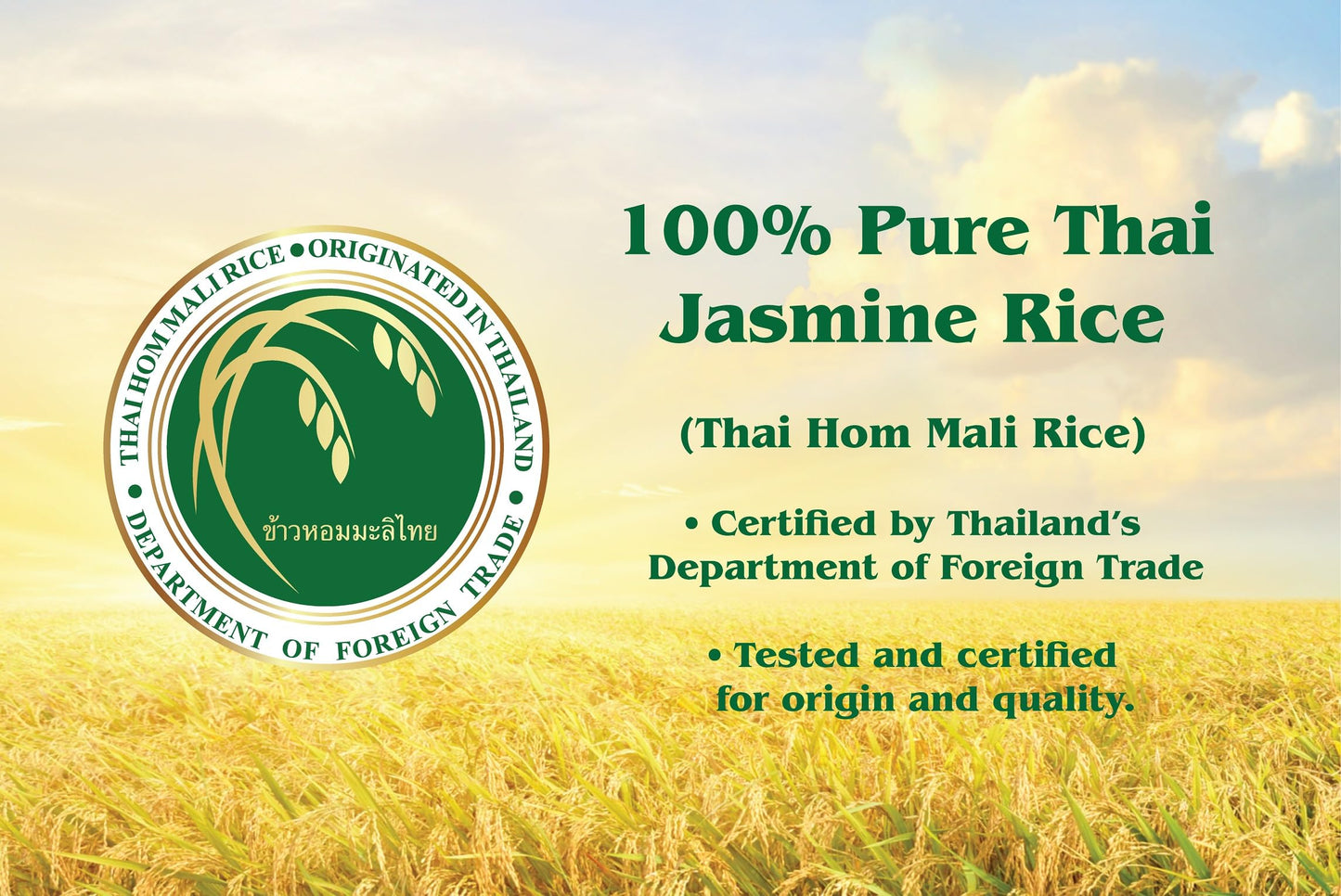 Queen Elephant Premium White Jasmine Rice 5 Lbs (Bag) | Product of Thailand