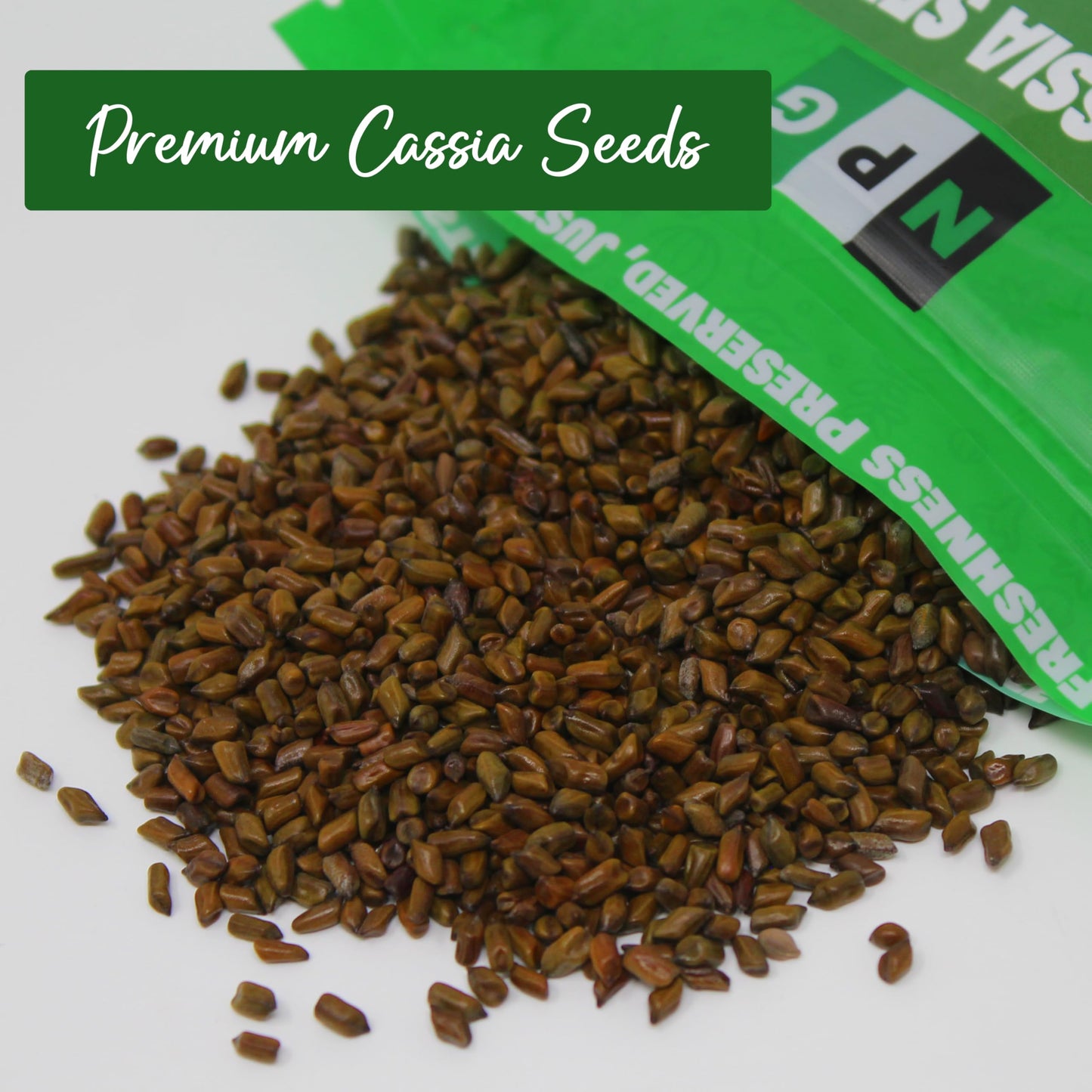 NPG Cassia Seeds 16 Oz, Roasted Cassia Seed Tea, Jue Ming Zi, Chinese Herbal Tea, Versatile for Mix Drink, Non-GMO, Traditional Herbal Home Tea, All