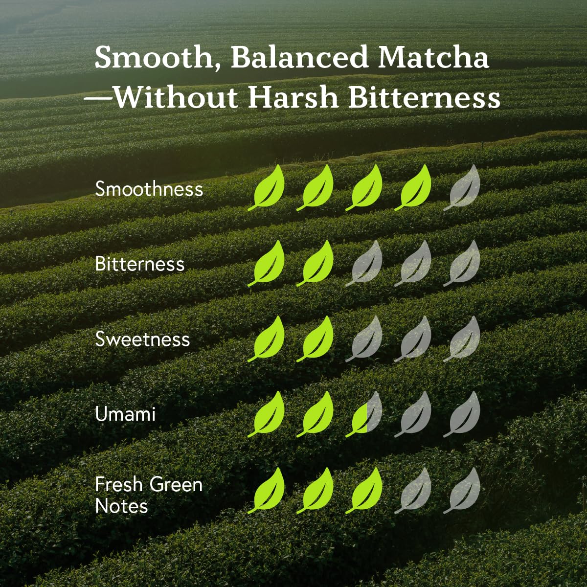AinaKo Ceremonial Grade Matcha Powder (30g / 1.06 oz) - First Harvest Japanese Matcha from Kagoshima, Japan - Smooth, Full-Bodied, No Harsh Bitterness