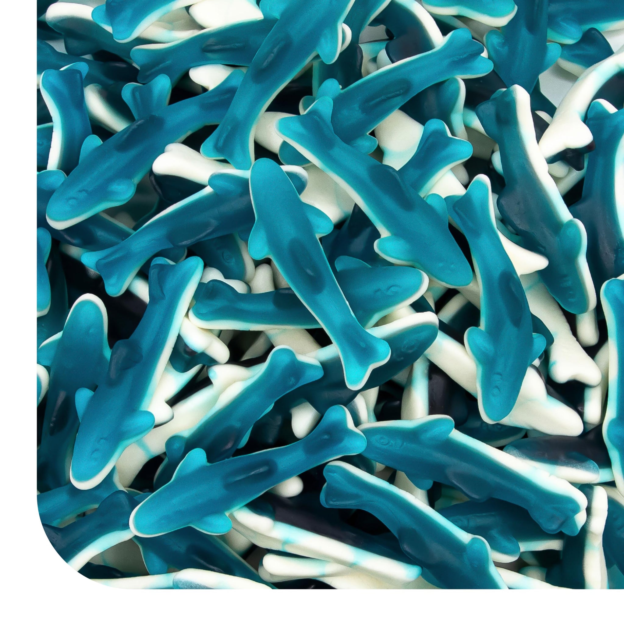 Blue Sharks Gummy Candy - 2 Pound Bulk Bag - Blue Raspberry Shark Gummies - Fun Gummy Fish for Candy Buffets, Gender Reveal, Beach Parties, and Ocean