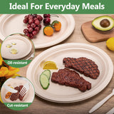 Vabrloy Oval Paper Plates, 120 Pack 12 inch, 100% Compostable, Heavy Duty, Biodegradable Sugarcane Plates for BBQ, Restaurant, Picnic, Party