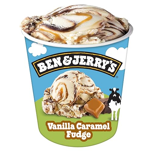 Ben & Jerry's Vanilla Caramel Fudge Ice Cream Pint, One PINT(473 ML)