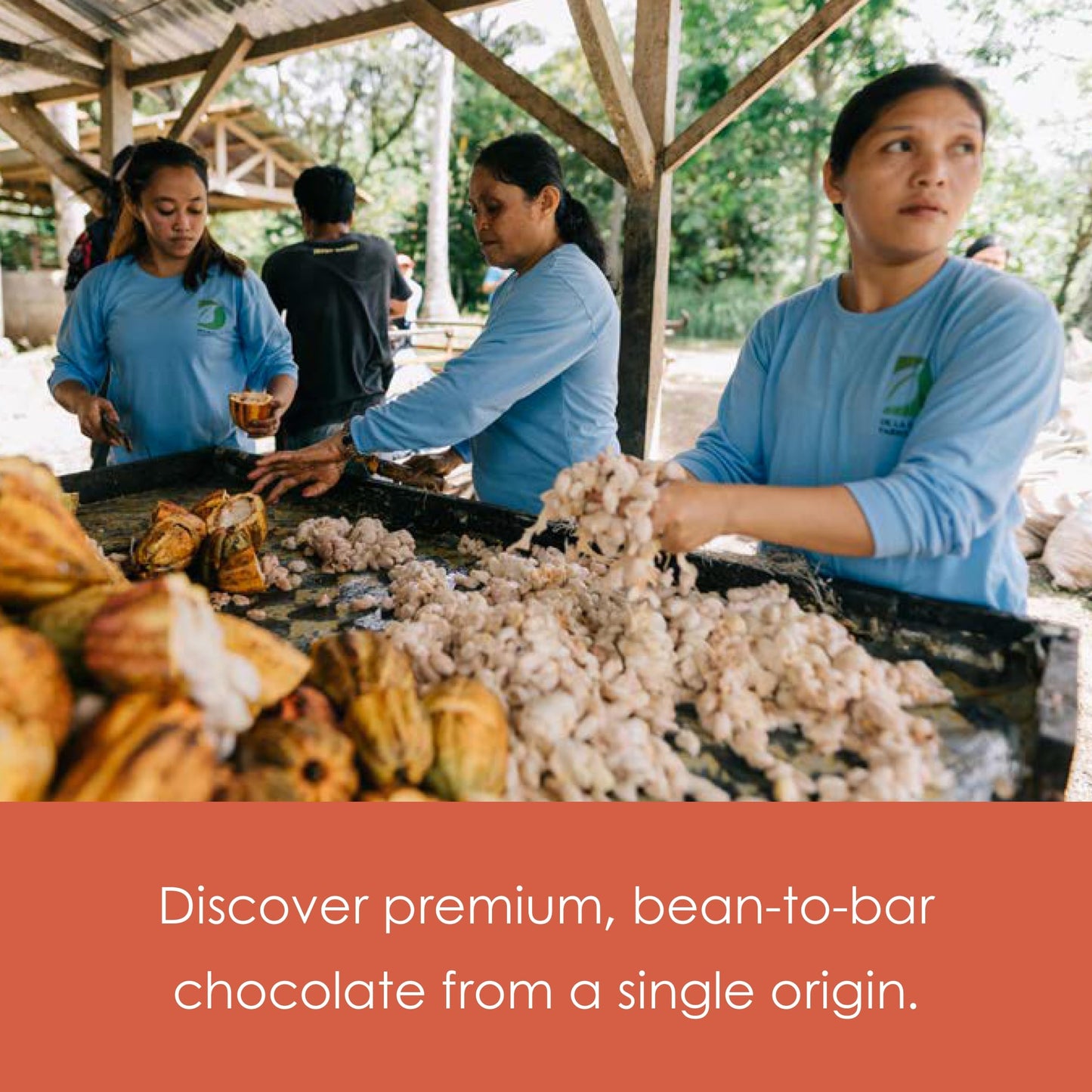 Auro - Mixed Collection - Filipino Chocolate Bundles (Reserve, 5 Bars)