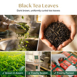 VAHDAM, English Breakfast Black Tea Bags (100 Count) High Caffeine | Strong, Robust & Flavoury | Pyramid Tea Bags | Full Bodied Black Tea Leaves
