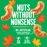 Emerald Salted Caramel Apple Cashews (1-Pack) | 5oz Resealable Bag | Kosher Dairy Certified, Non-GMO, Contains No Artificial Preservatives, Flavors or