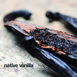 10 Organic Madagascar Vanilla Beans - Gourmet Grade A Premium Vanilla Pods - For Vanilla Extract & Baking - For Cooking, Desserts & More - 100% Vegan