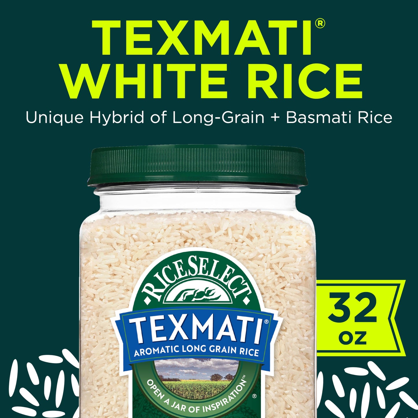 RiceSelect Texmati White Basmati Rice, Premium Long Grain Aromatic American Basmati Rice, Gluten-Free, Non-GMO, Kosher, 32oz Jar (Pack of 1)