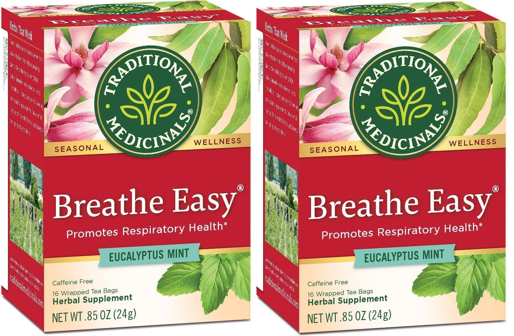 Traditional Medicinals Breathe Easy Tea, 16 Count Tea Bags (Pack of 2)