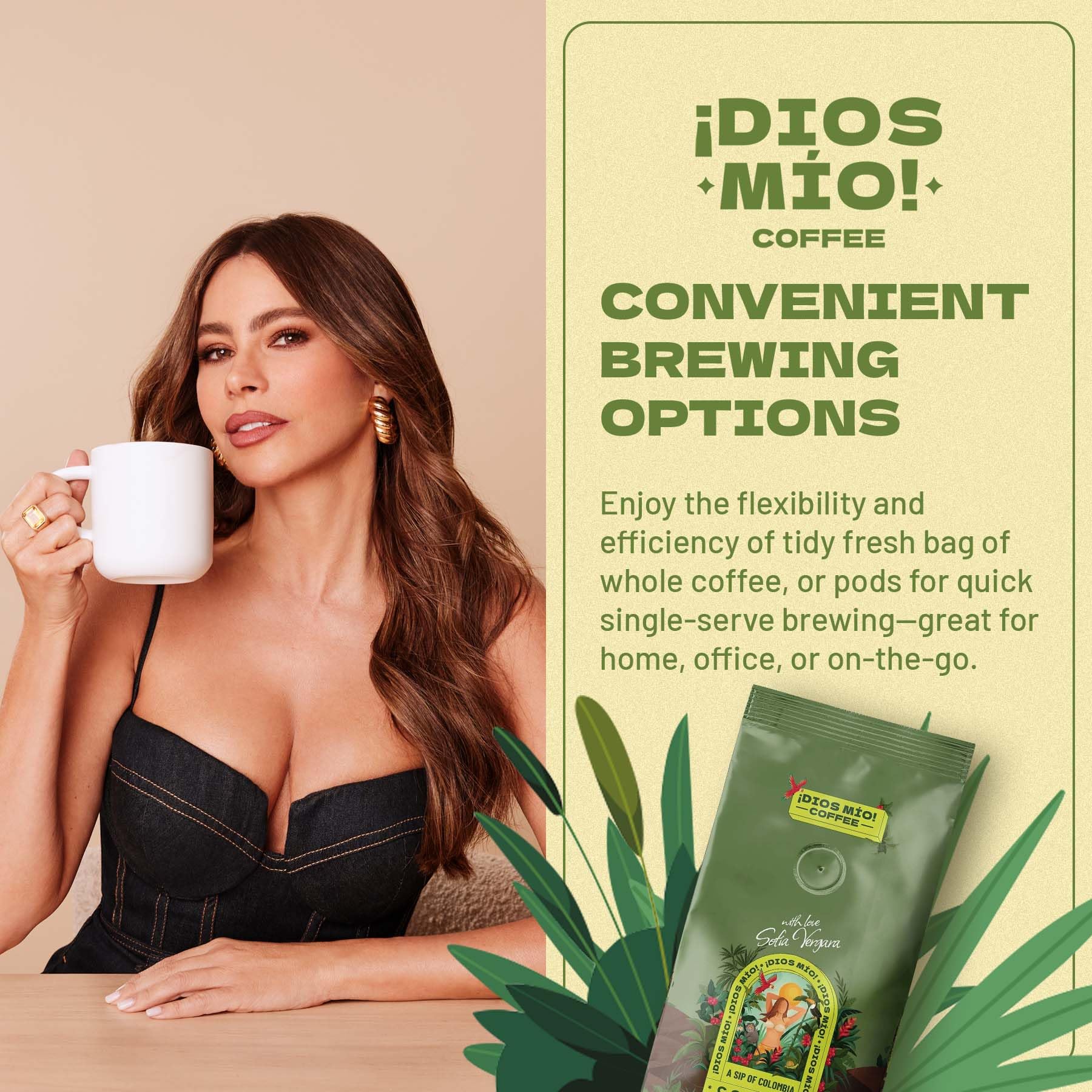 Dios Mio Coffee by Sofia Vergara, Medium Roast, Whole Bean Premium Colombian Coffee, 12 Ounce Bag