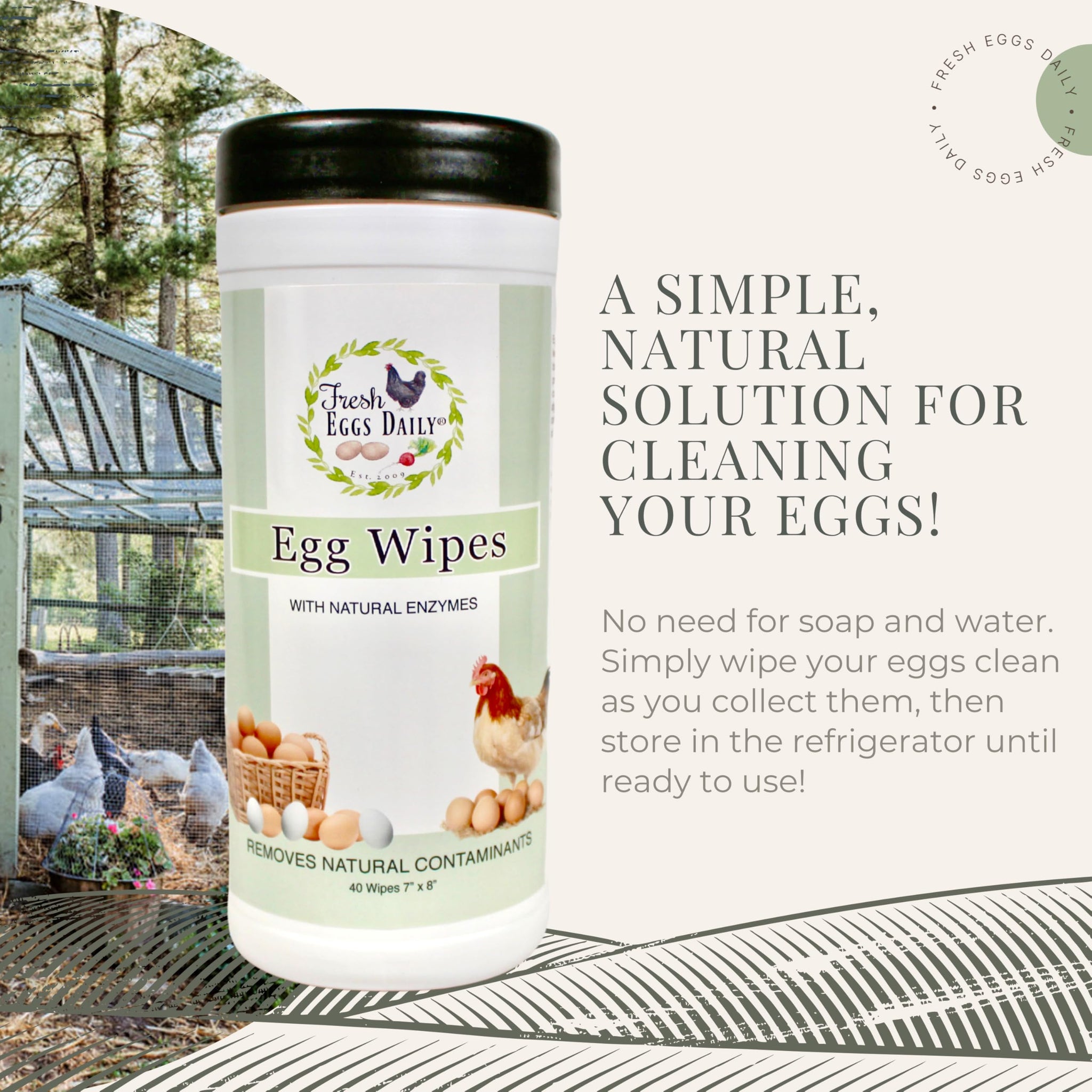 Fresh Eggs Daily Egg Wipes - Enzyme-Based Egg Cleaner for Backyard Chickens, No Rinse Needed, Natural Enzyme Formula - 40 Natural Cleaning Wipes