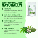 200 Natural Soursop Leaves - Handpicked, Well-Cleaned, 100% Pure and Fresh for Tea