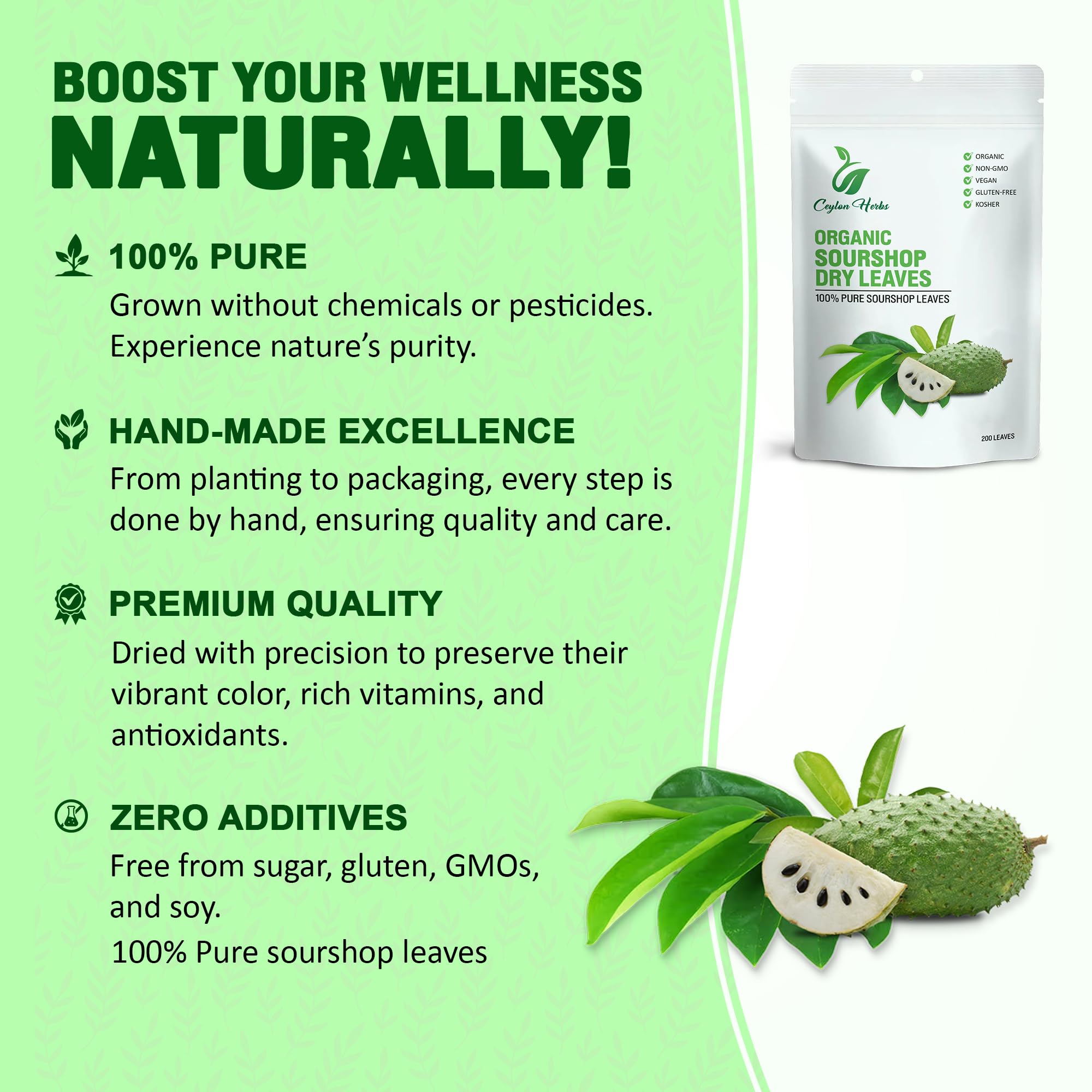 200 Natural Soursop Leaves - Handpicked, Well-Cleaned, 100% Pure and Fresh for Tea