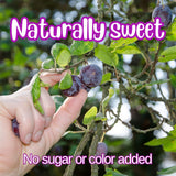 Dried Pitted Prunes Unsweetened by It's Delish, 1 Lb (16 Oz) Bag | Naturally Sweet, No Sugar Added, High Fiber Dried Fruit Snack | Healthy, Moist