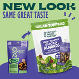 Orchard Valley Harvest Salad Toppers Honey Roasted Sliced Almonds With Sweetened Blueberries & Cranberries Multipack, Gluten Free, Made With Real